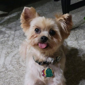 Meet your Posher, Jonathan